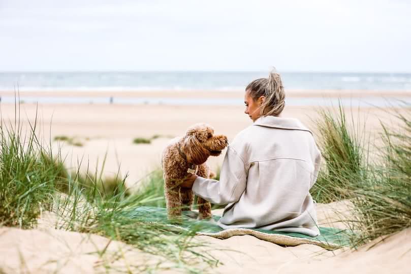 Richmond Green Reversible Dog Blanket
