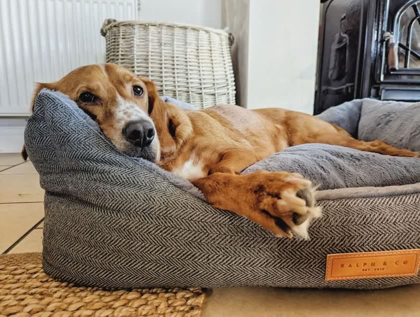 Balmoral Herringbone Bolster Dog Bed