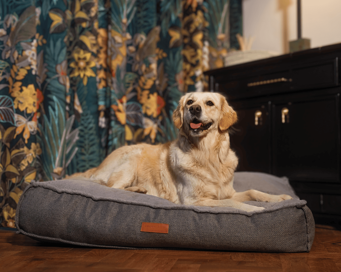 Balmoral Herringbone Flat Pillow Dog Bed