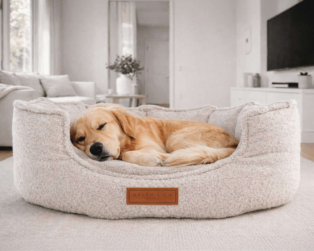 Cotswold High-Wall Bouclé Dog Bed