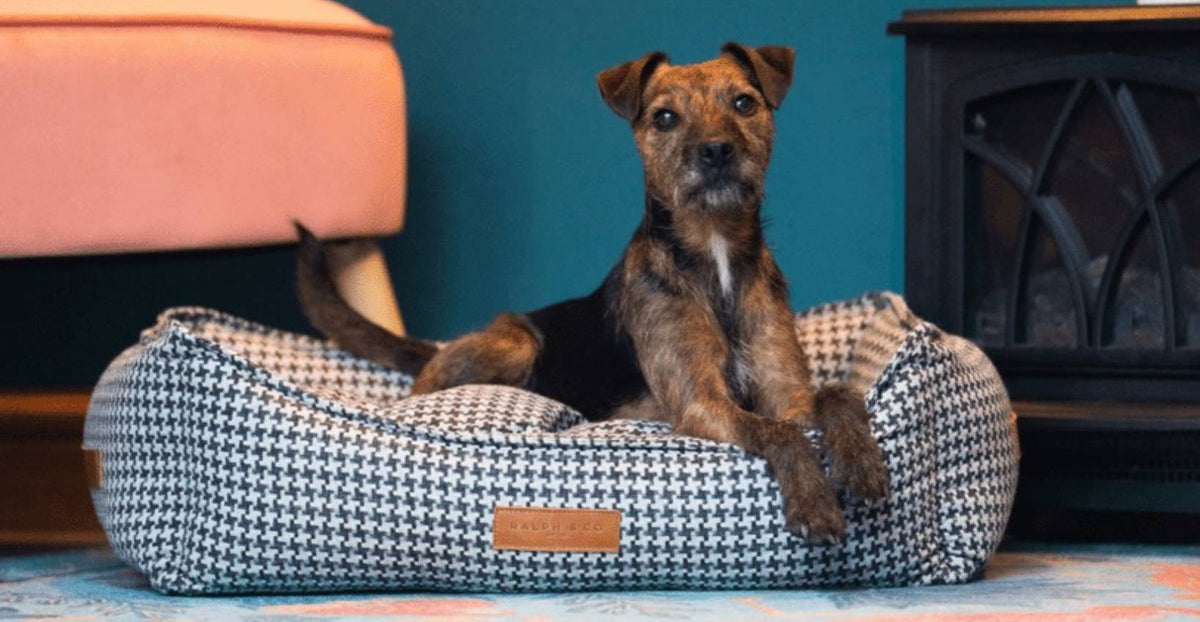 Kensington Houndstooth Bolster Dog Bed
