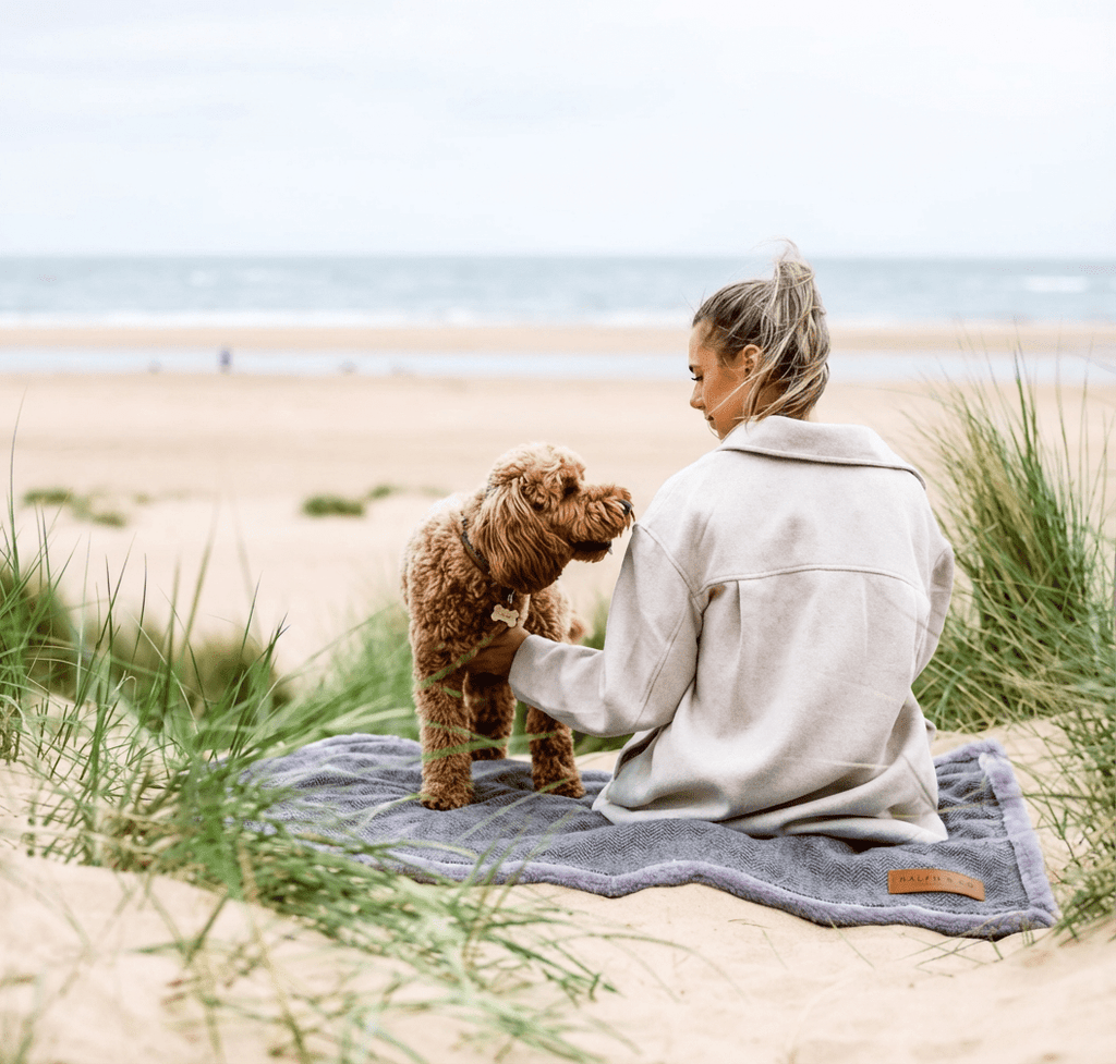 Balmoral Grey Herringbone Reversible Dog Blanket