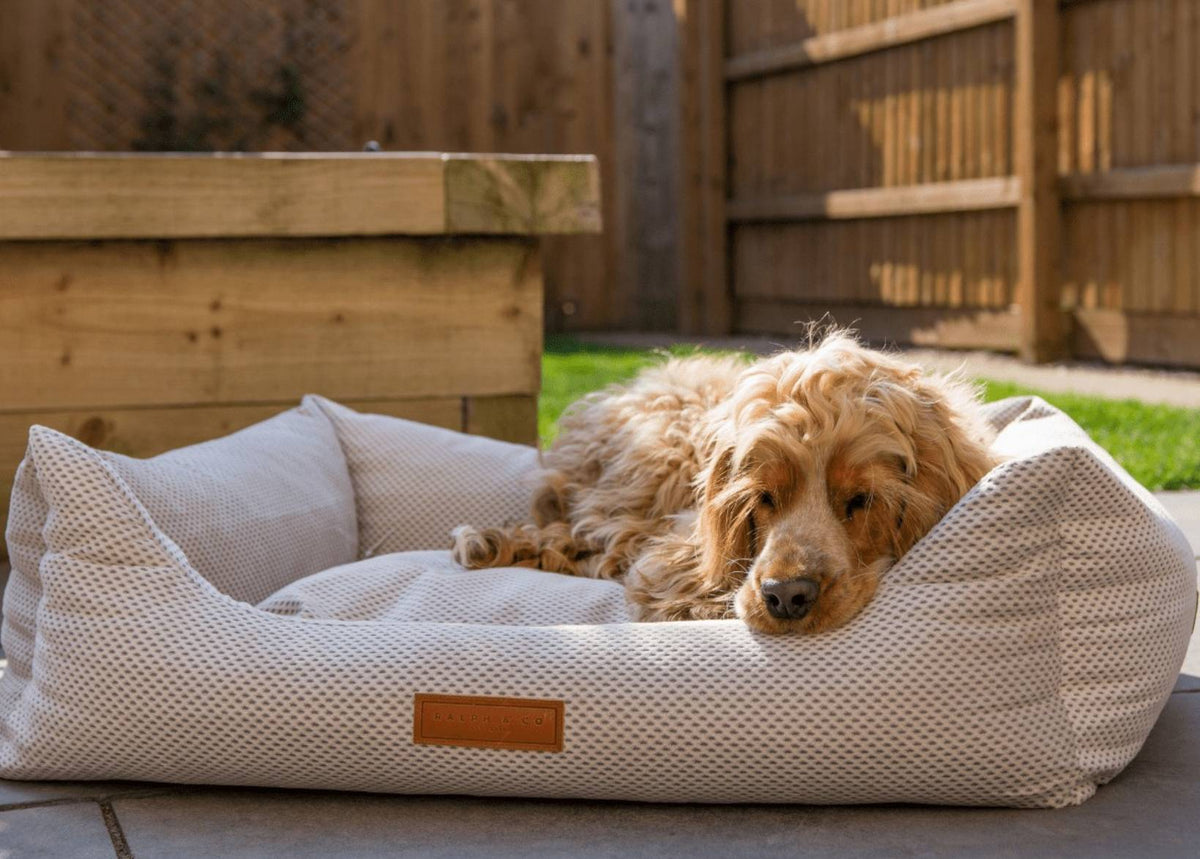 Chatsworth Memory Foam Bolster Dog Bed