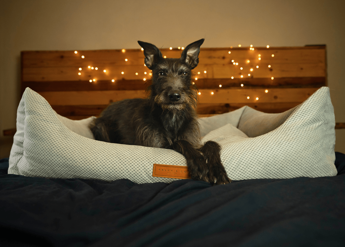 Highclere Memory Foam Bolster Dog Bed