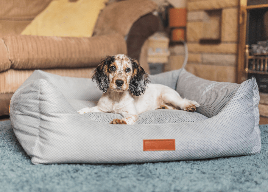 Highclere Memory Foam Bolster Dog Bed