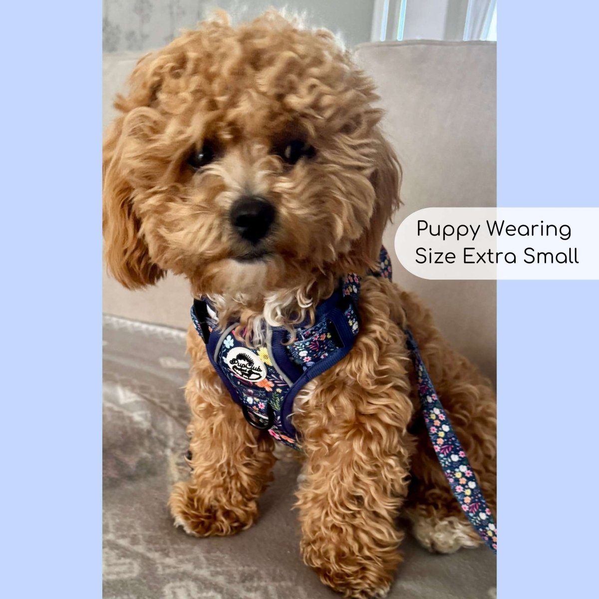 Rugged Rover™ Harness - Summer Meadow