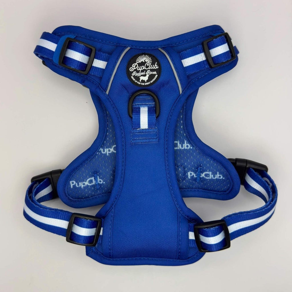 Rugged Rover™ Harness - Royal Blue