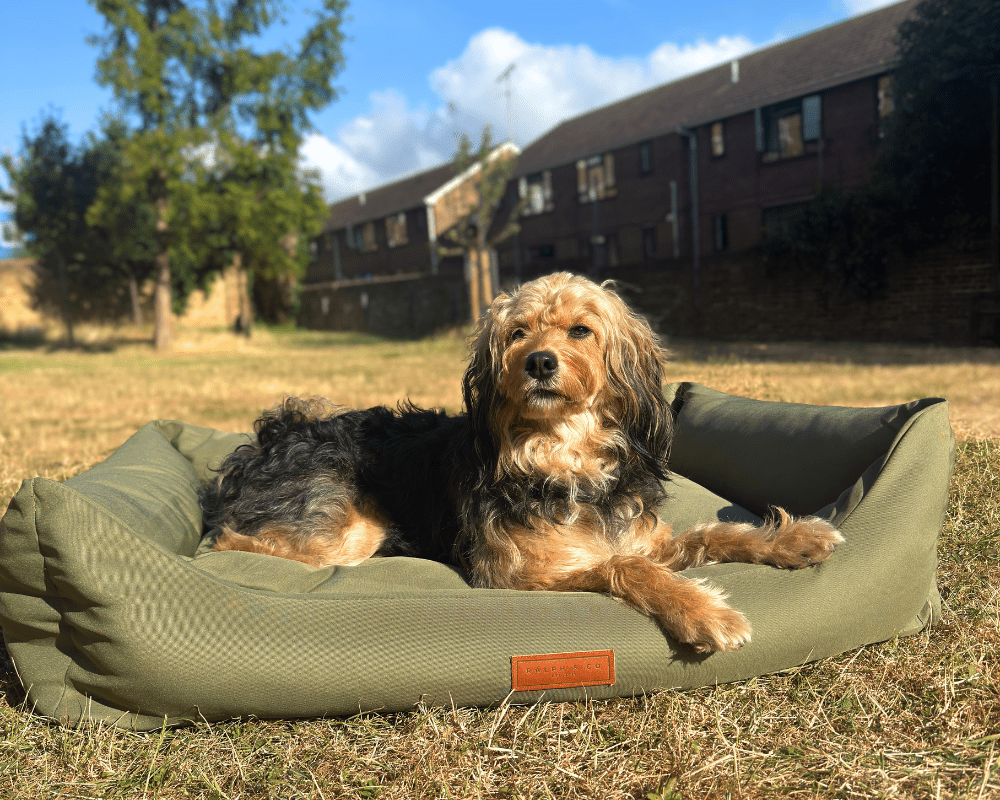 Henley Waterproof Memory Foam Bolster Dog Bed